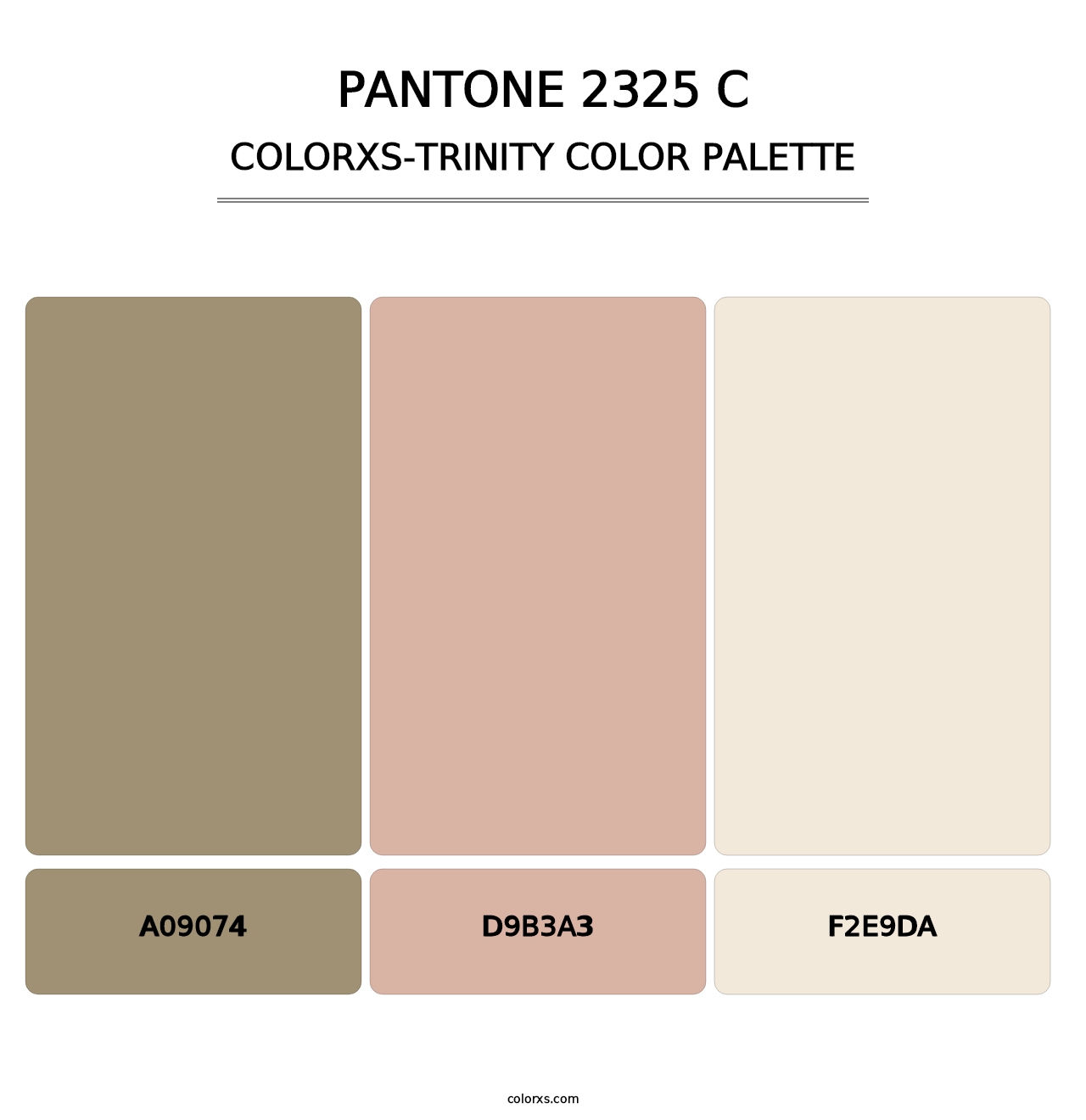 PANTONE 2325 C - Colorxs Trinity Palette