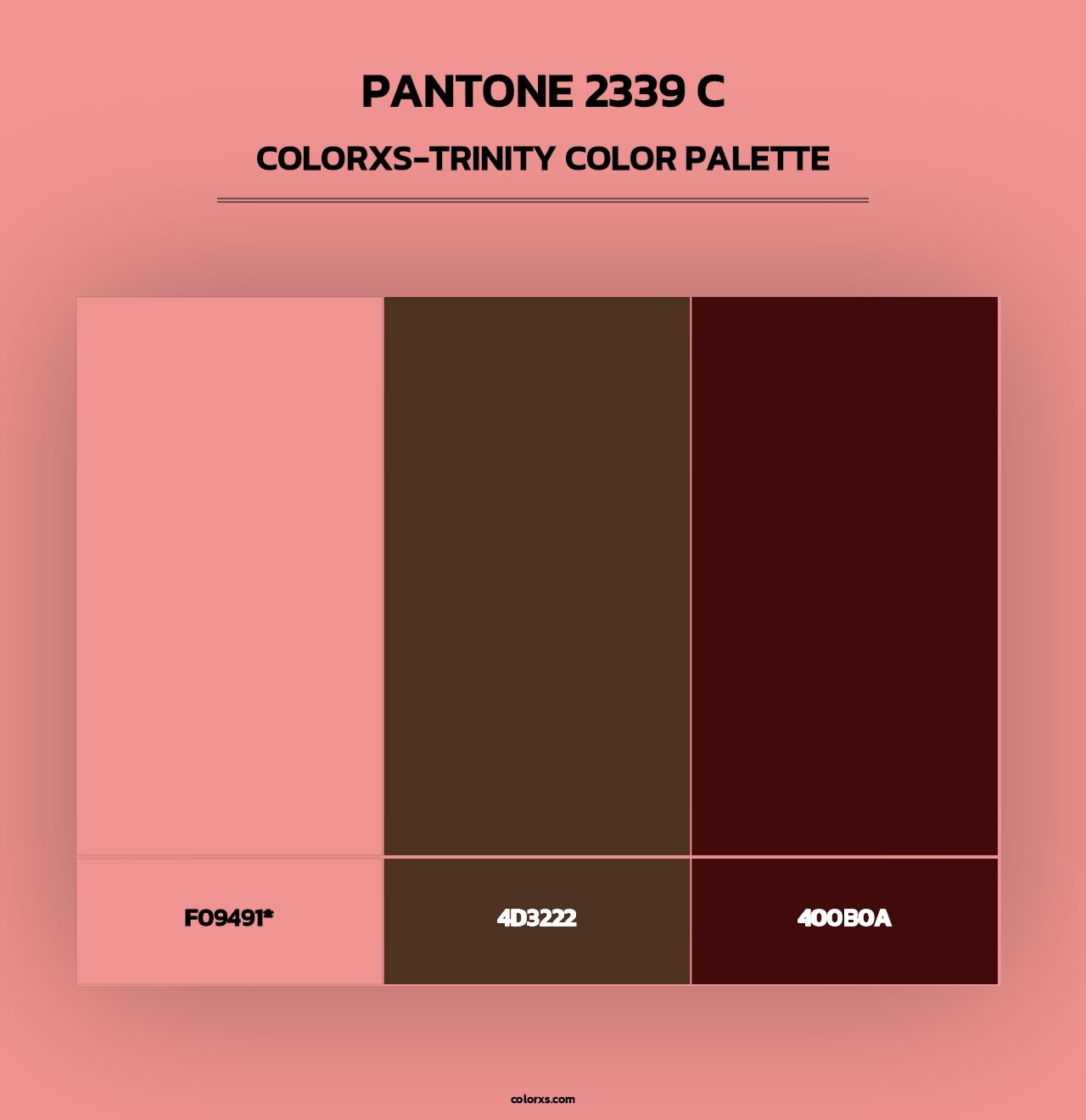 PANTONE 2339 C - Colorxs Trinity Palette