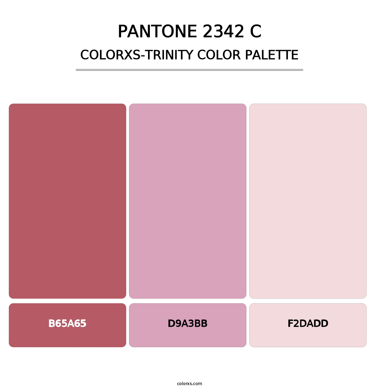 PANTONE 2342 C - Colorxs Trinity Palette