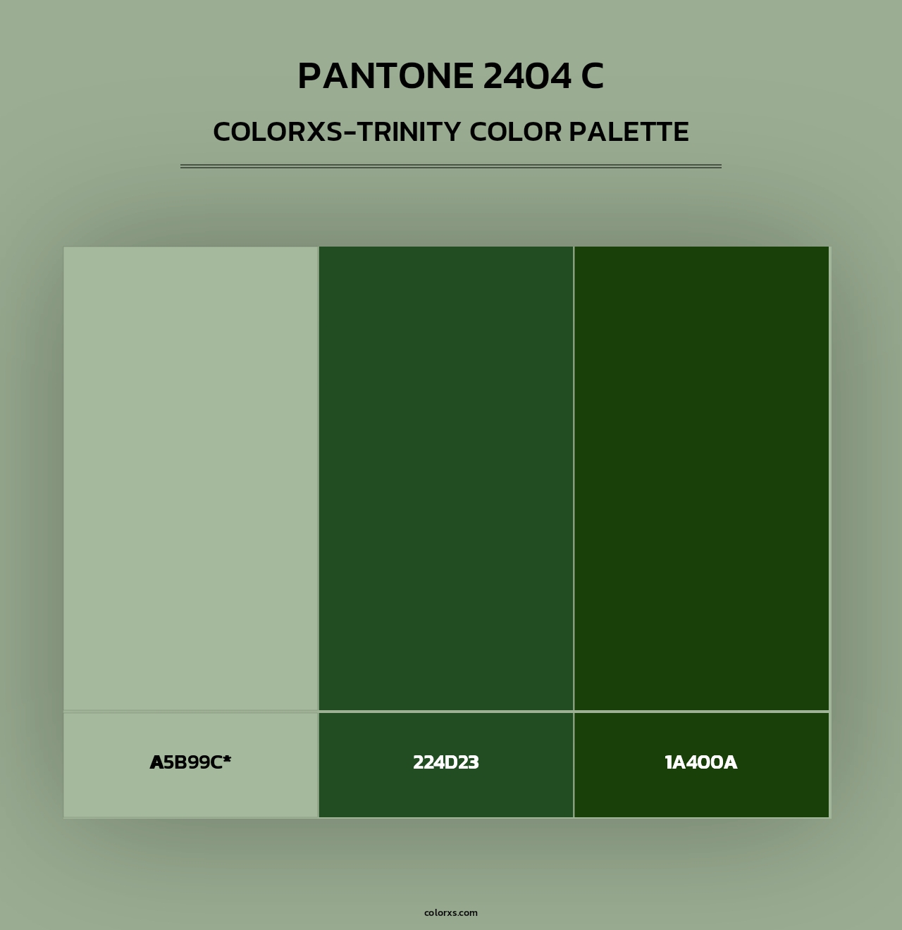 PANTONE 2404 C - Colorxs Trinity Palette