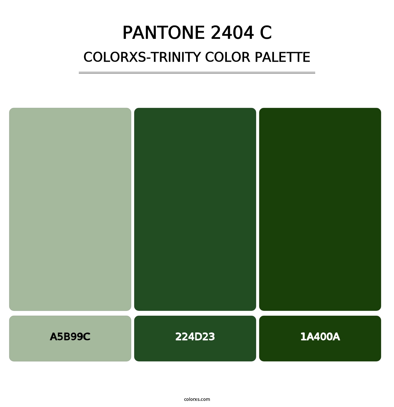 PANTONE 2404 C - Colorxs Trinity Palette