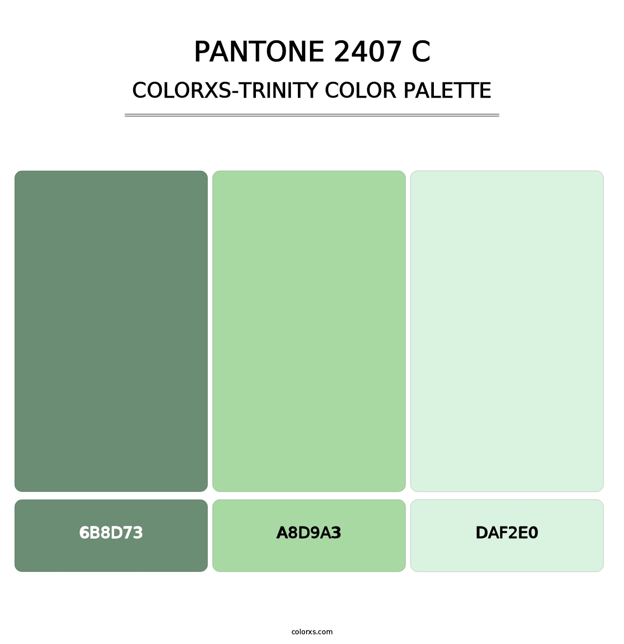 PANTONE 2407 C - Colorxs Trinity Palette