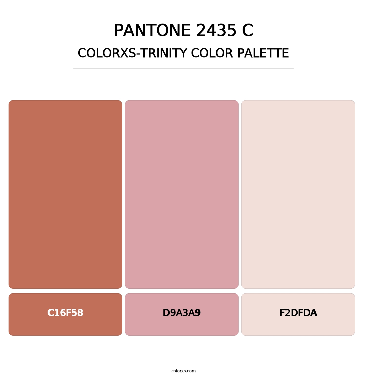 PANTONE 2435 C - Colorxs Trinity Palette