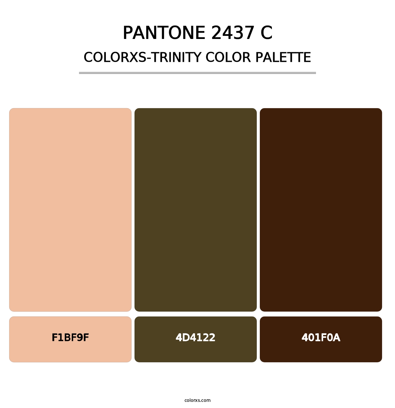 PANTONE 2437 C - Colorxs Trinity Palette