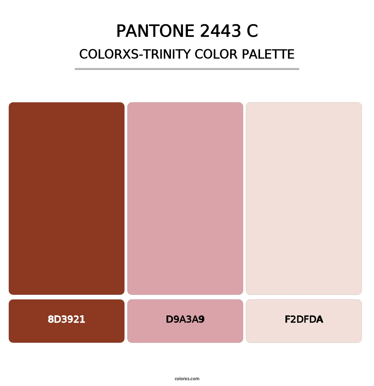 PANTONE 2443 C - Colorxs Trinity Palette