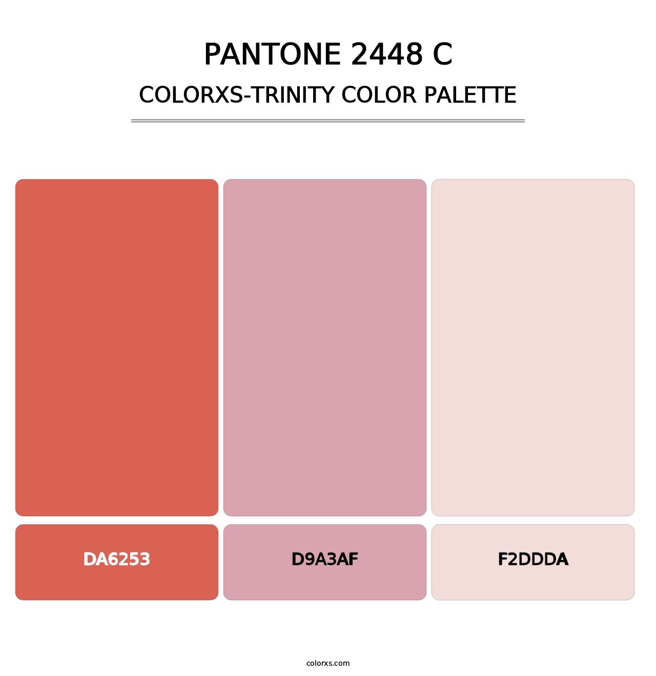 PANTONE 2448 C - Colorxs Trinity Palette