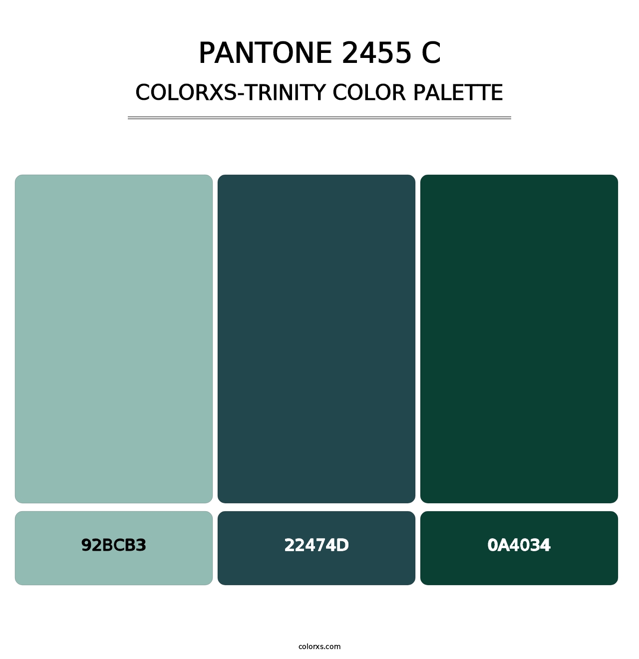 PANTONE 2455 C - Colorxs Trinity Palette
