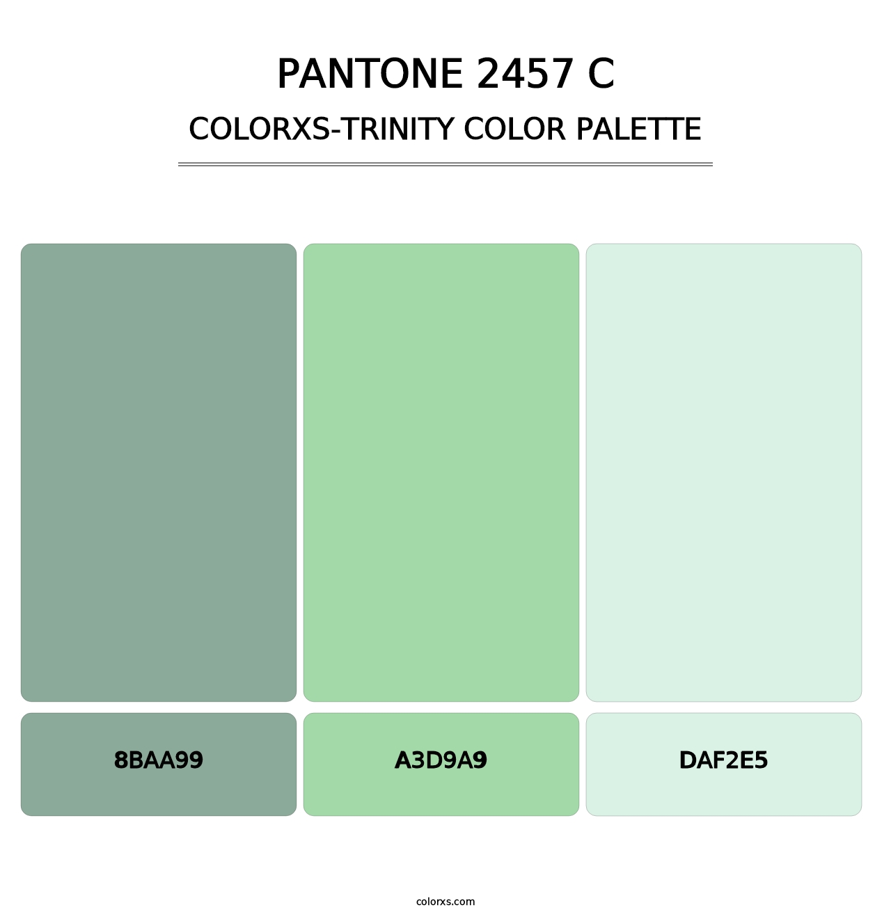 PANTONE 2457 C - Colorxs Trinity Palette