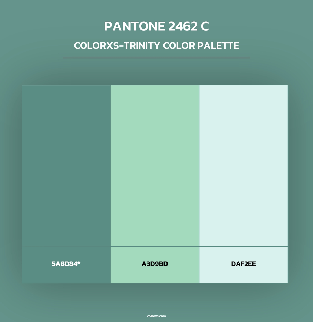 PANTONE 2462 C - Colorxs Trinity Palette