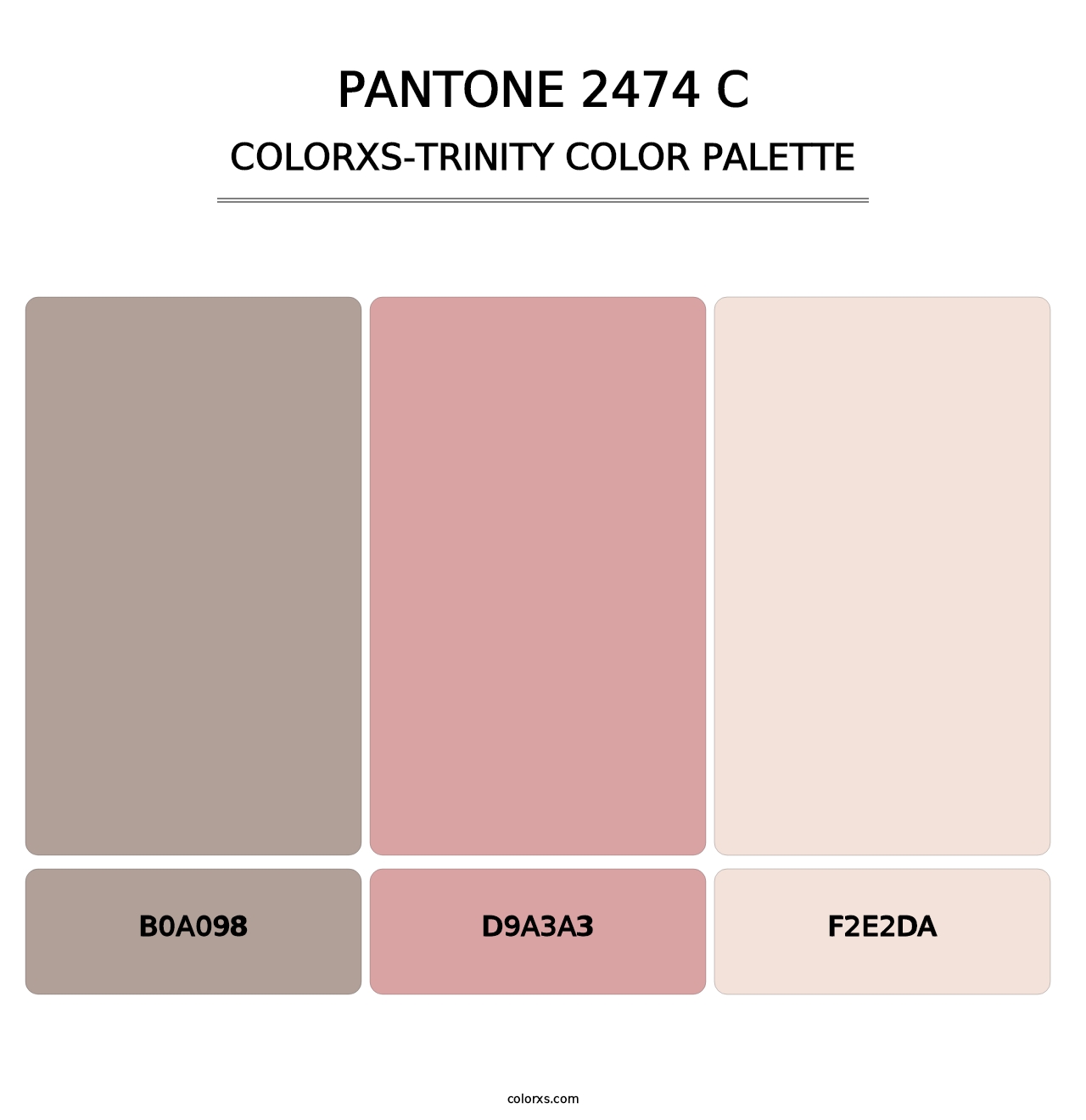 PANTONE 2474 C - Colorxs Trinity Palette
