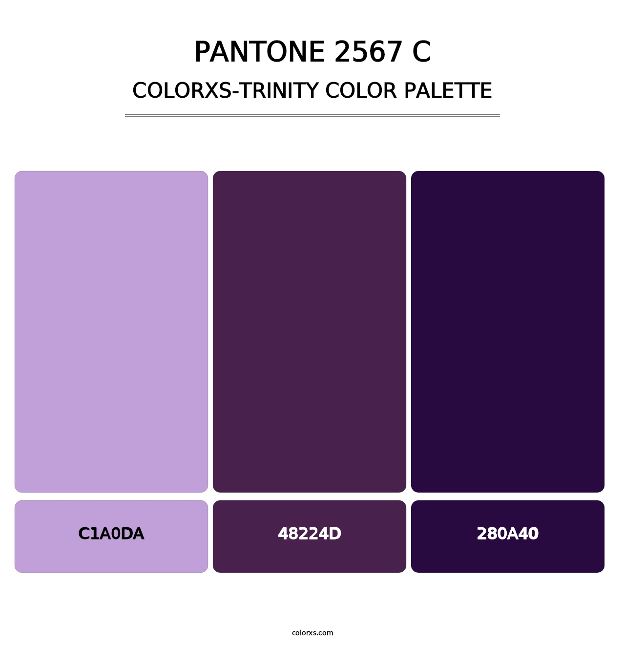 PANTONE 2567 C - Colorxs Trinity Palette