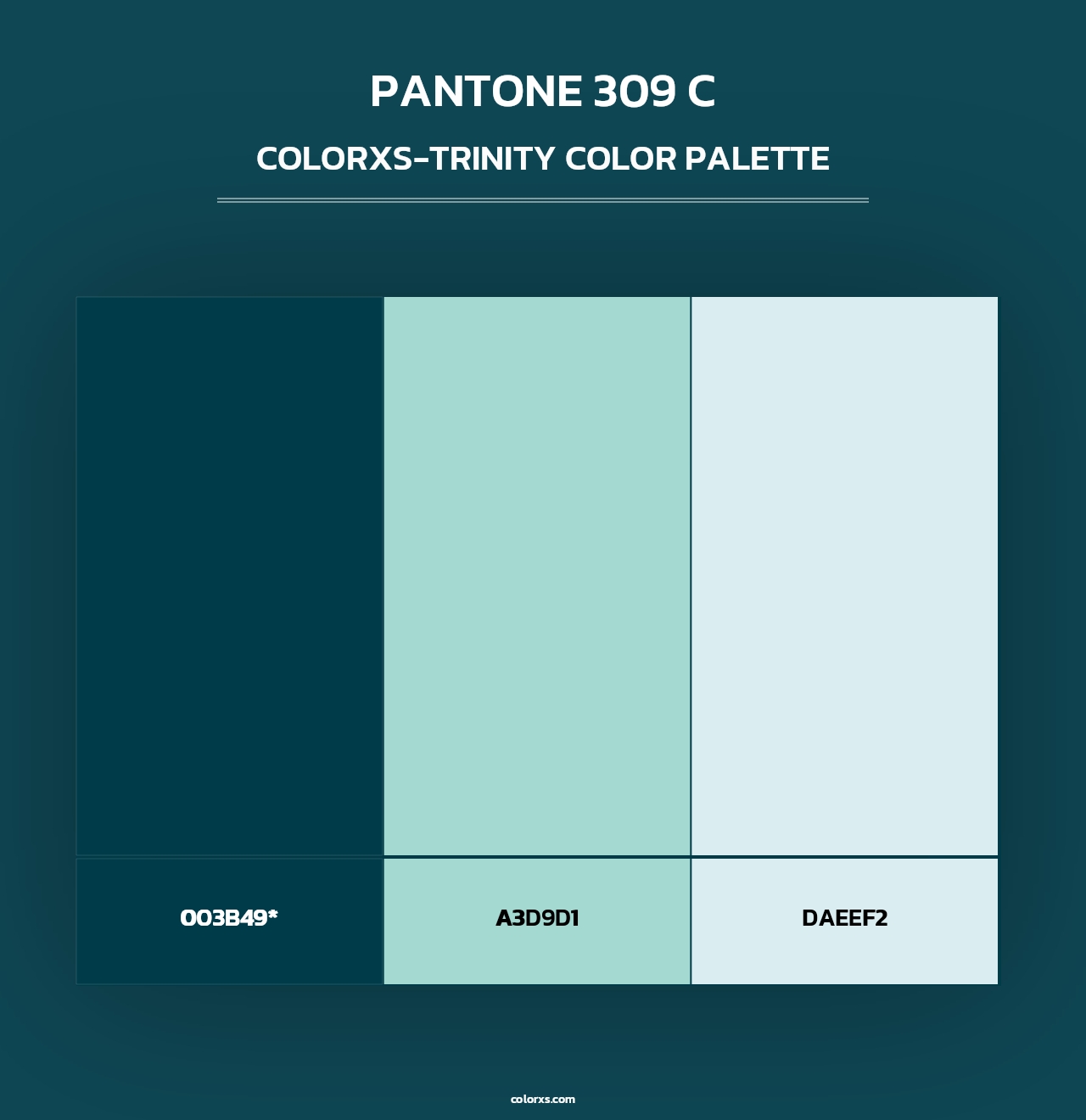 PANTONE 309 C - Colorxs Trinity Palette