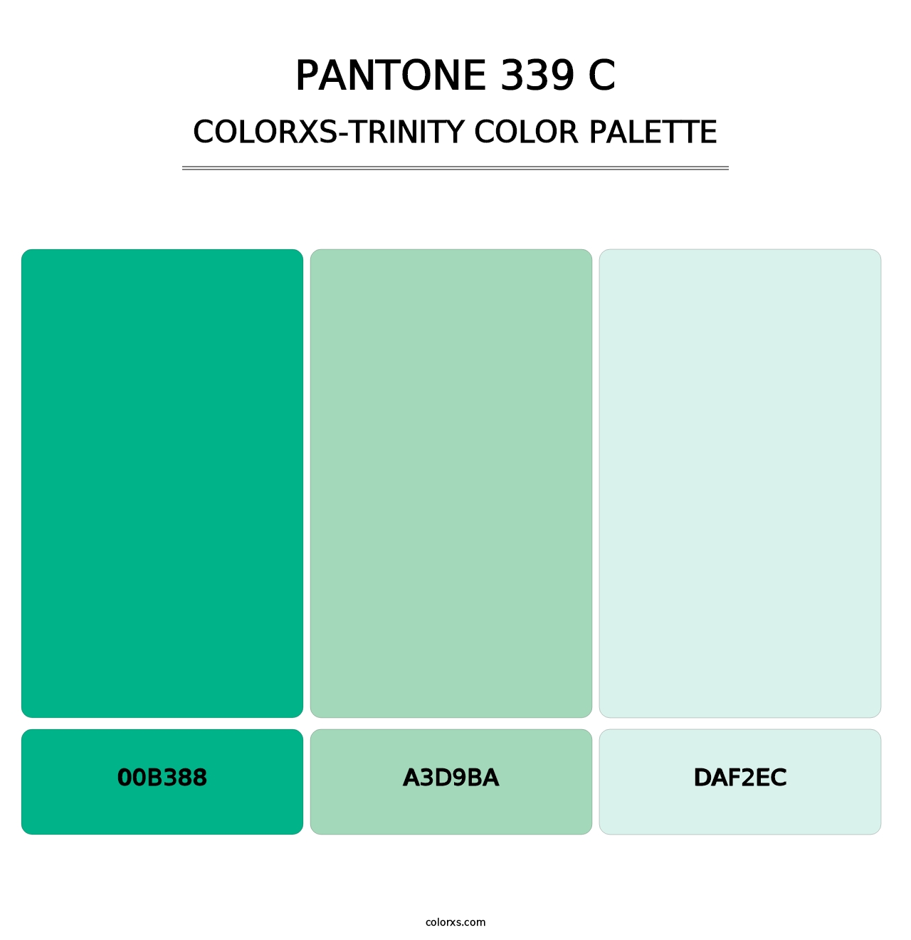 PANTONE 339 C - Colorxs Trinity Palette