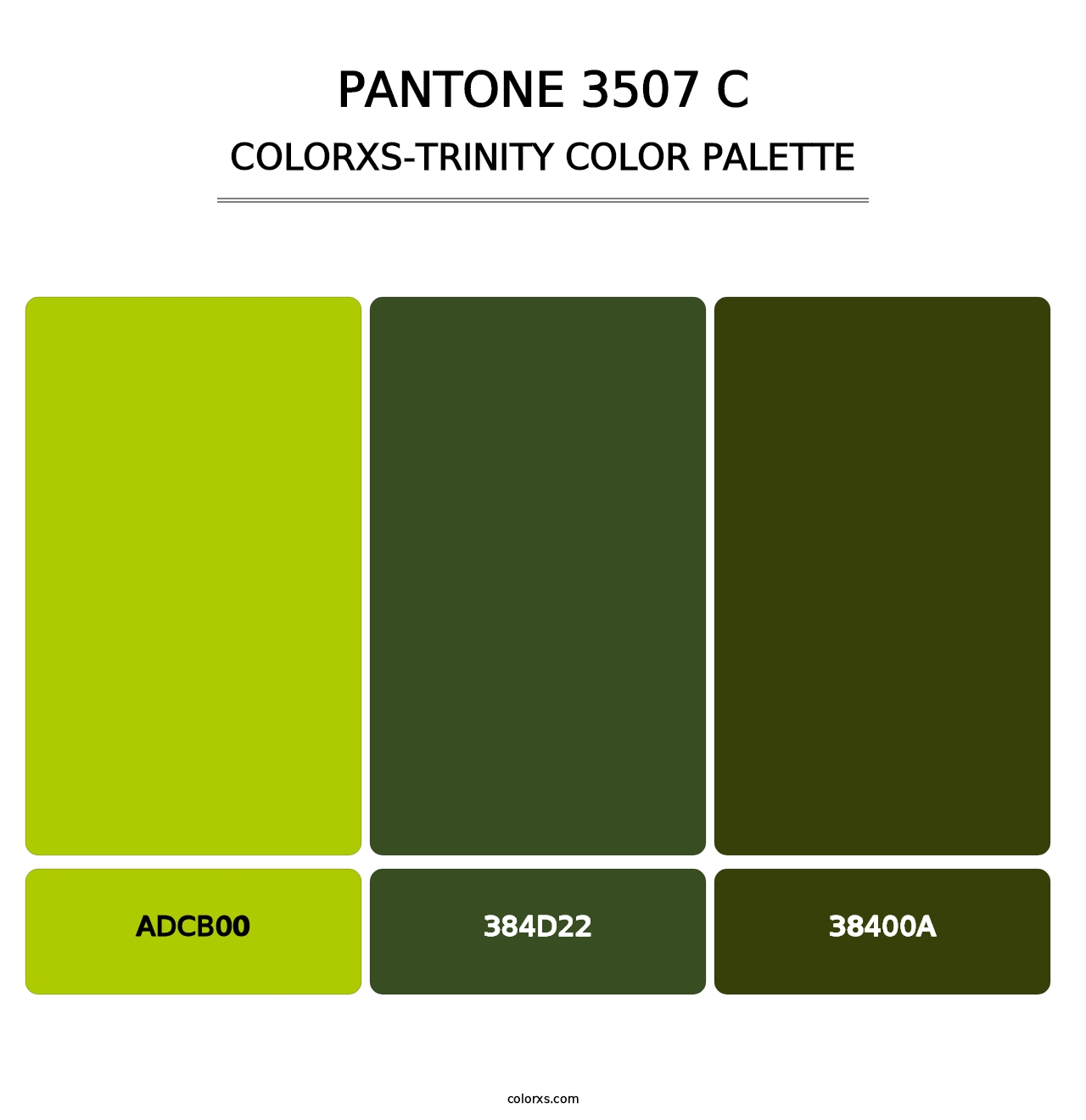 PANTONE 3507 C - Colorxs Trinity Palette