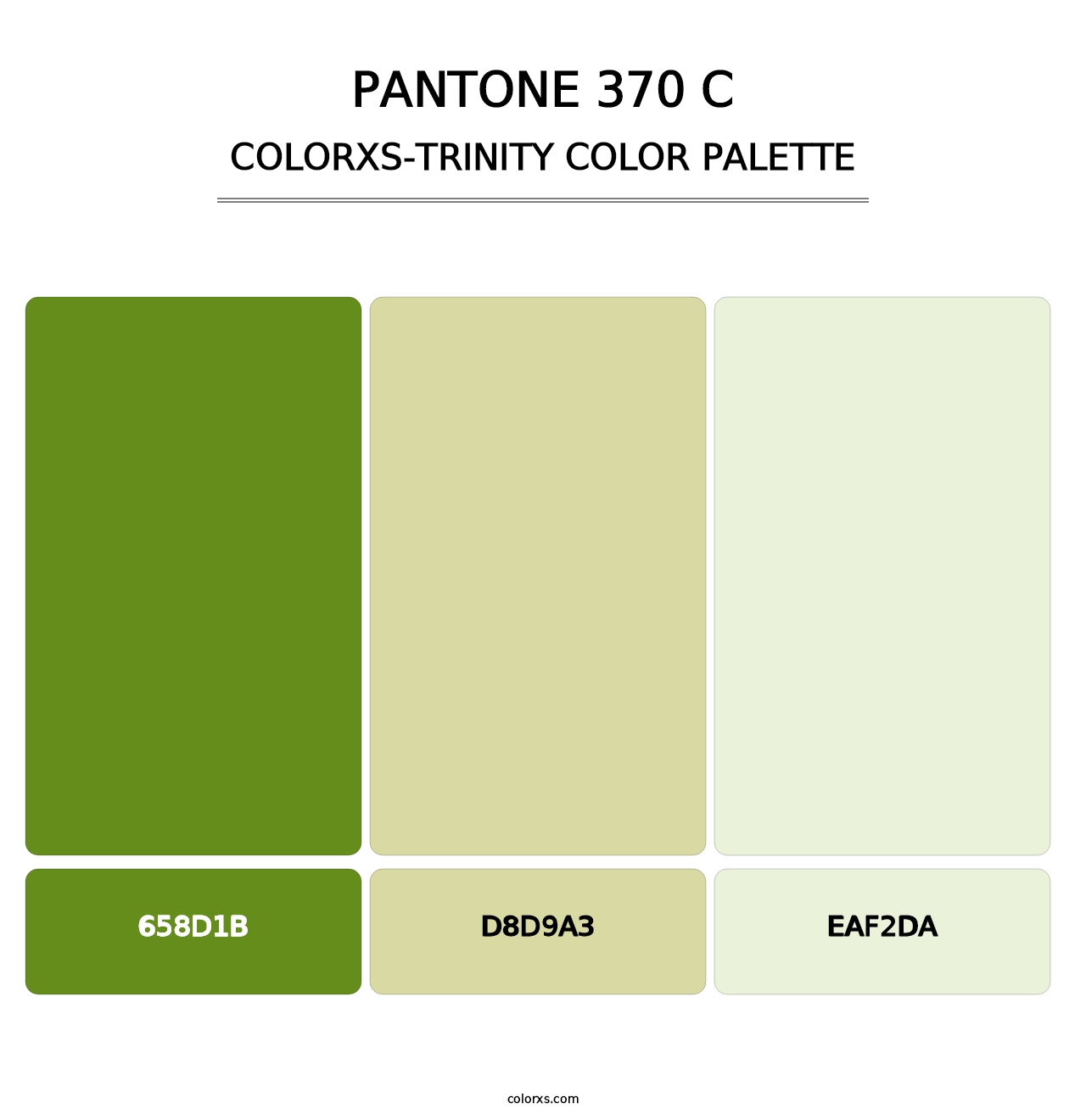 PANTONE 370 C - Colorxs Trinity Palette