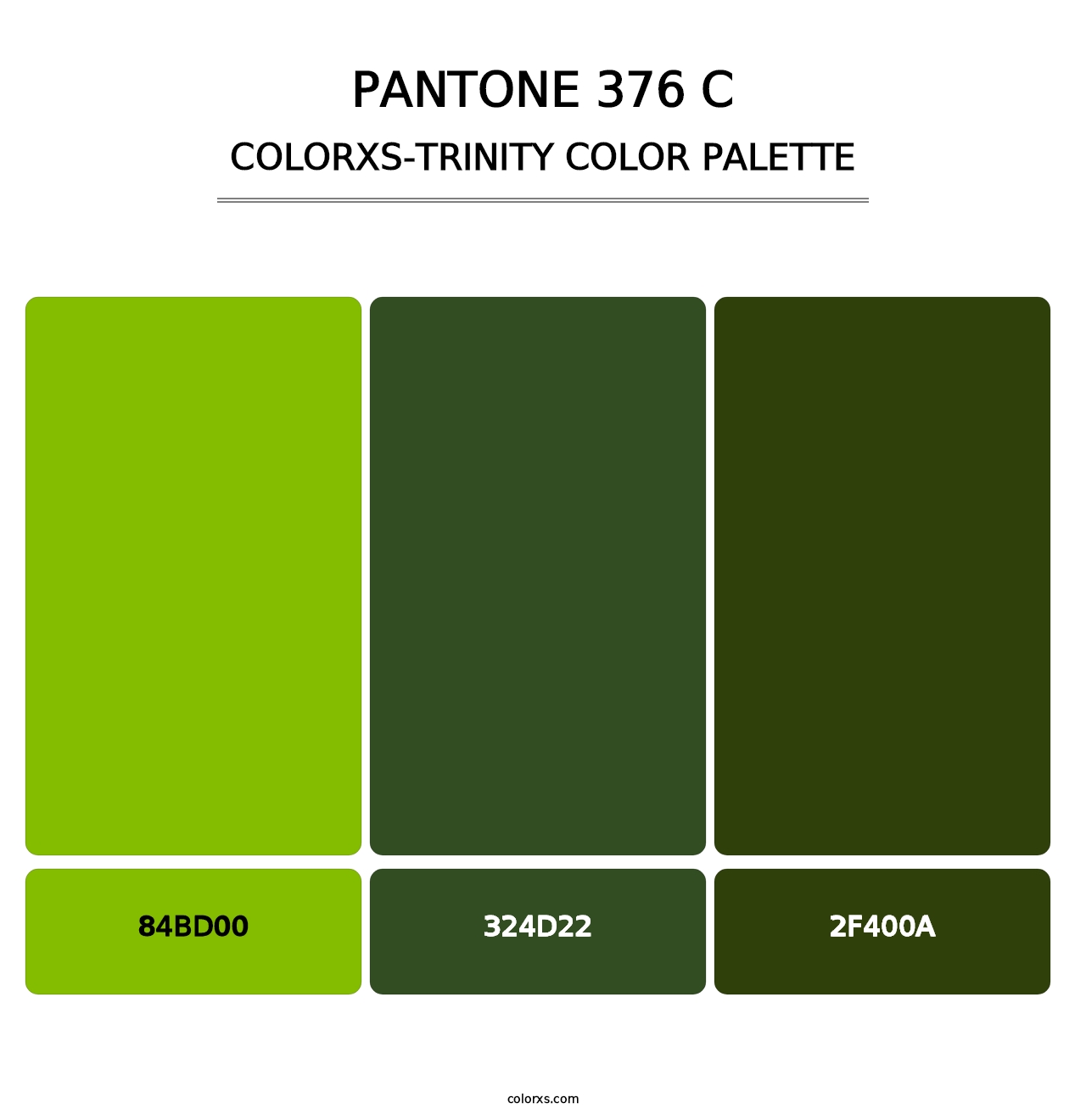 PANTONE 376 C - Colorxs Trinity Palette