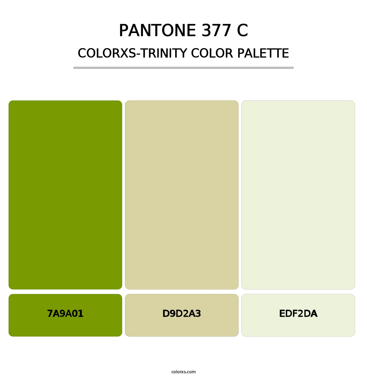 PANTONE 377 C - Colorxs Trinity Palette
