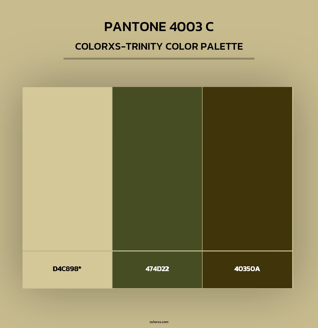PANTONE 4003 C - Colorxs Trinity Palette