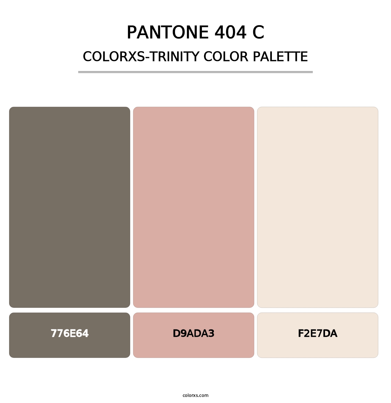 PANTONE 404 C - Colorxs Trinity Palette