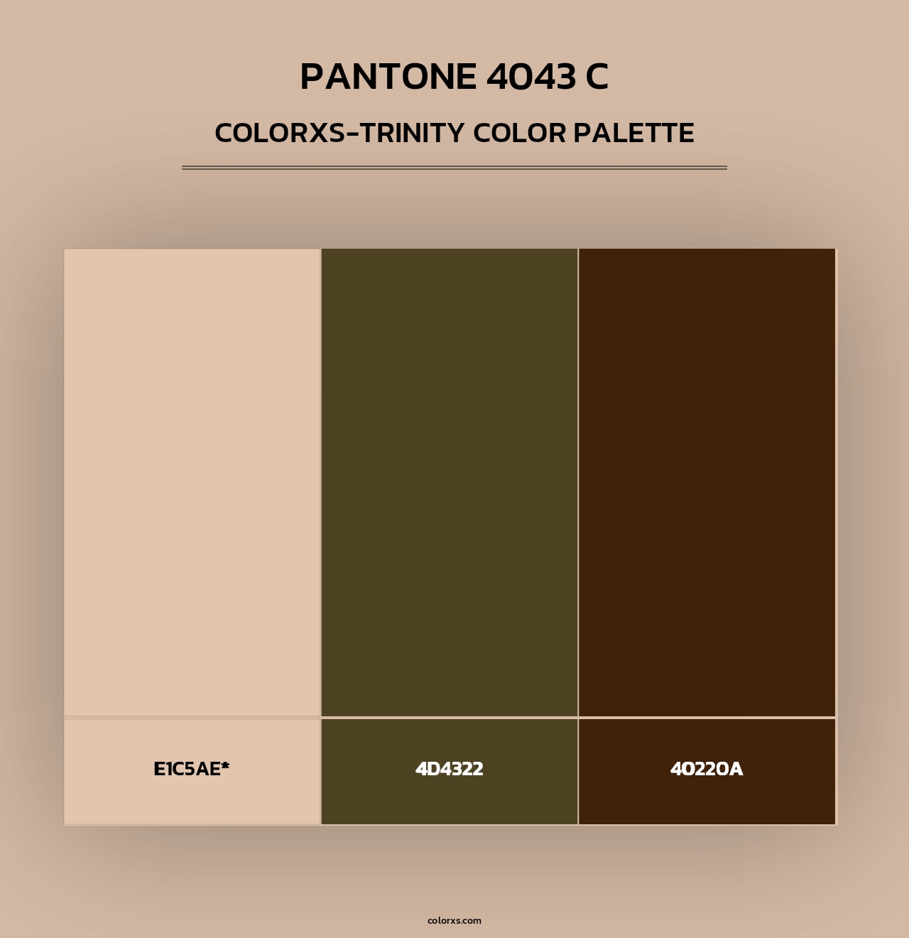 PANTONE 4043 C - Colorxs Trinity Palette