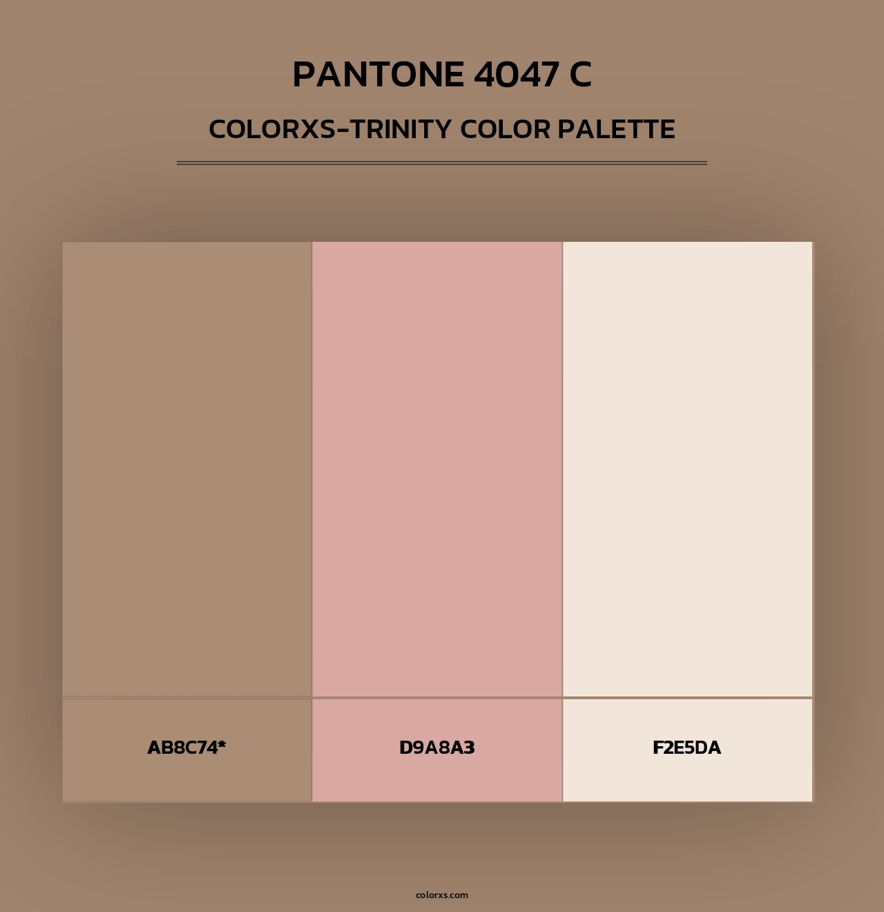 PANTONE 4047 C - Colorxs Trinity Palette