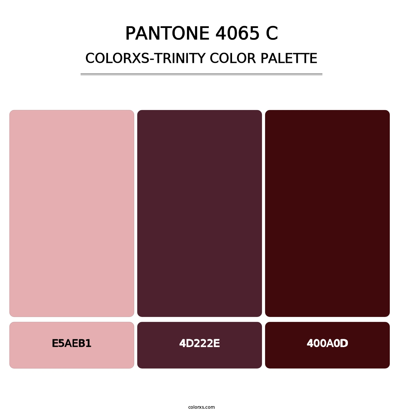 PANTONE 4065 C - Colorxs Trinity Palette