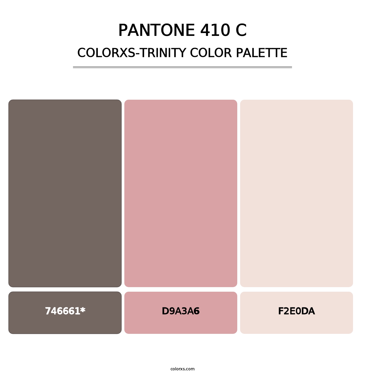 PANTONE 410 C - Colorxs Trinity Palette