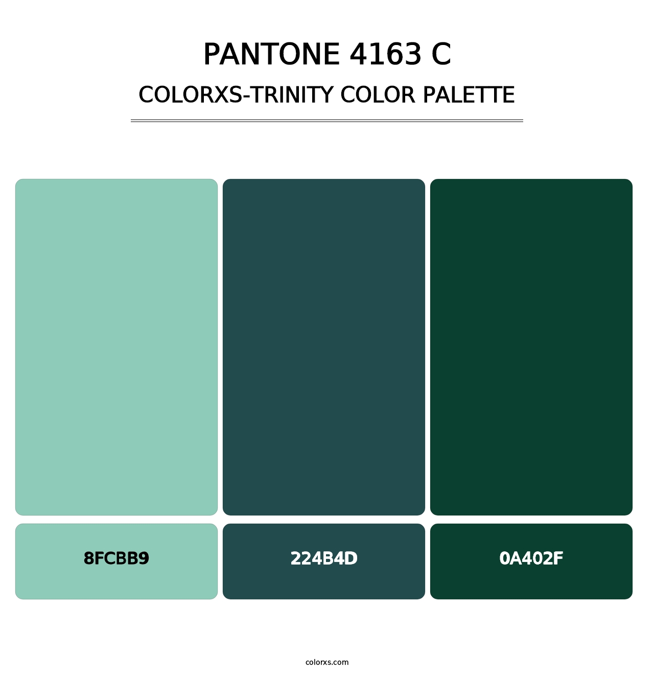 PANTONE 4163 C - Colorxs Trinity Palette