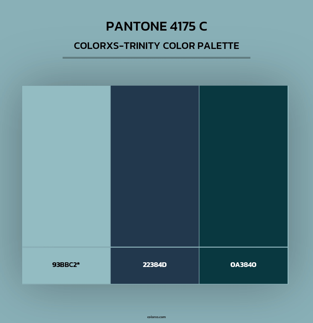 PANTONE 4175 C - Colorxs Trinity Palette