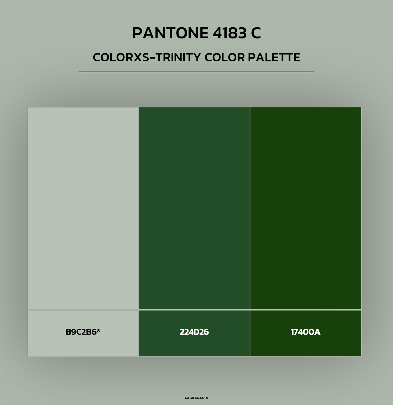 PANTONE 4183 C - Colorxs Trinity Palette