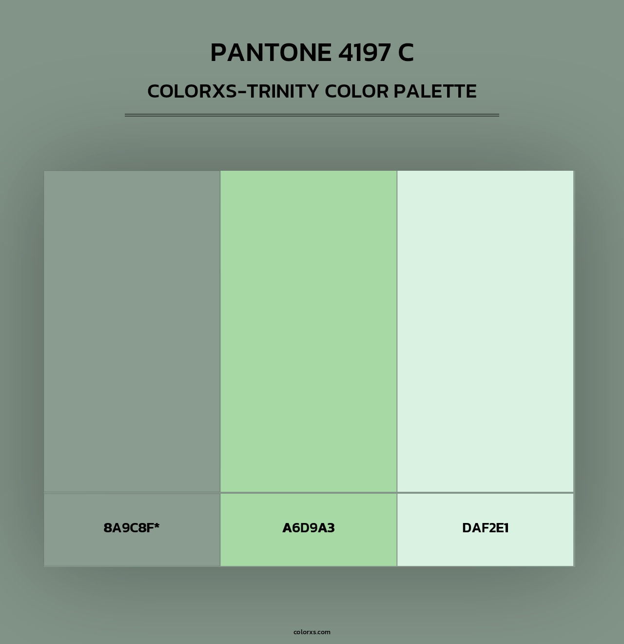 PANTONE 4197 C - Colorxs Trinity Palette