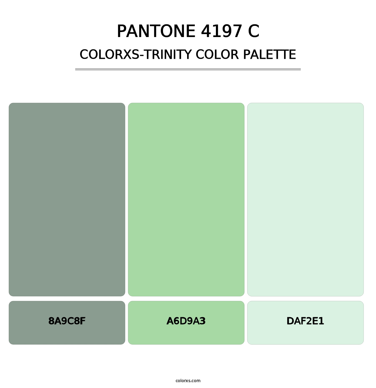 PANTONE 4197 C - Colorxs Trinity Palette