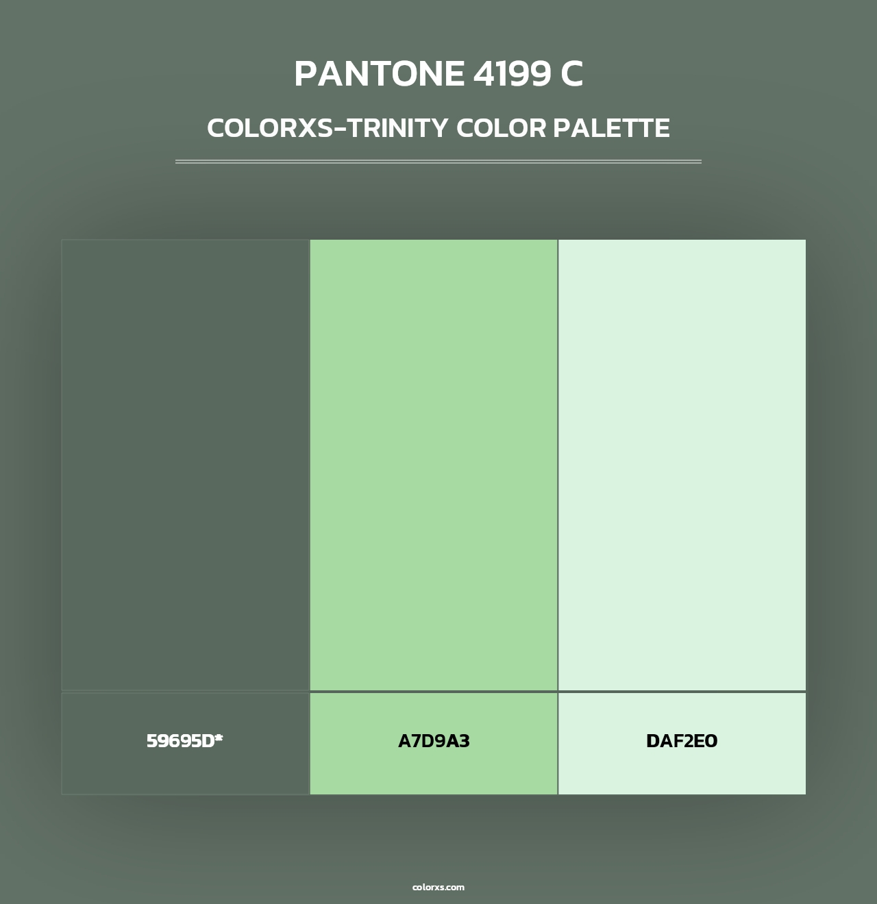 PANTONE 4199 C - Colorxs Trinity Palette