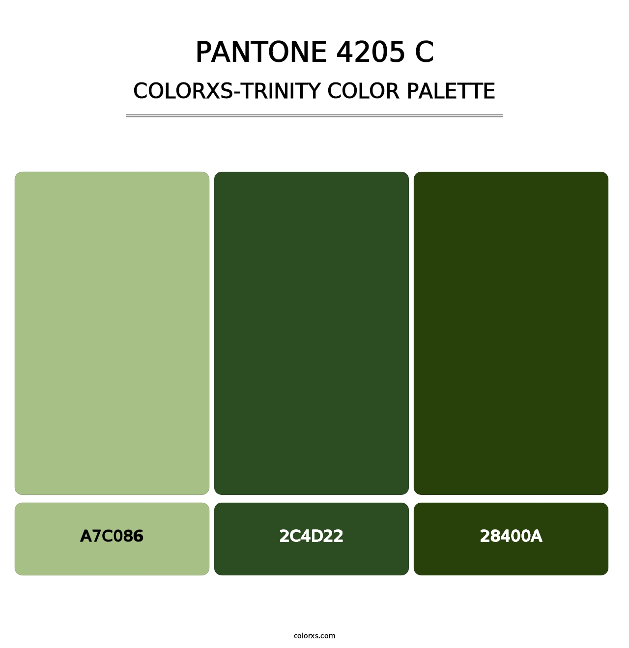 PANTONE 4205 C - Colorxs Trinity Palette