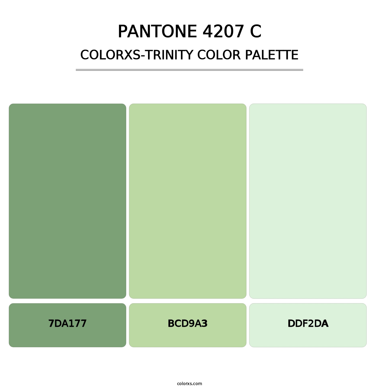 PANTONE 4207 C - Colorxs Trinity Palette