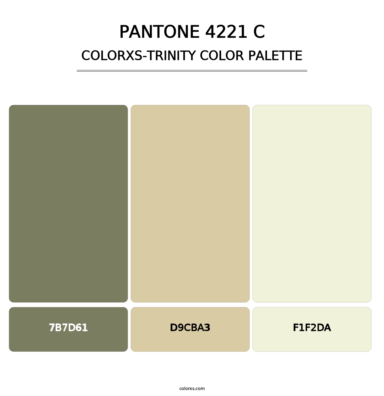 PANTONE 4221 C - Colorxs Trinity Palette