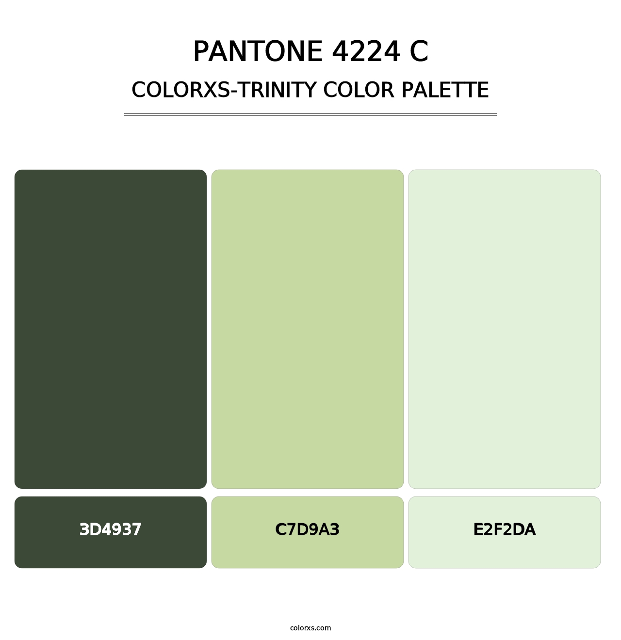 PANTONE 4224 C - Colorxs Trinity Palette