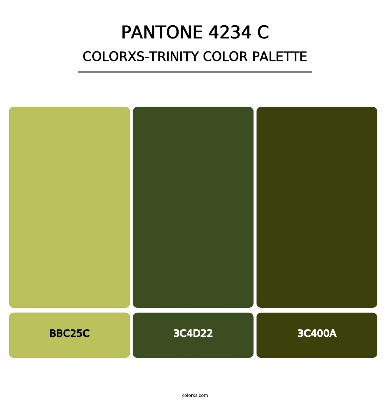 PANTONE 4234 C - Colorxs Trinity Palette