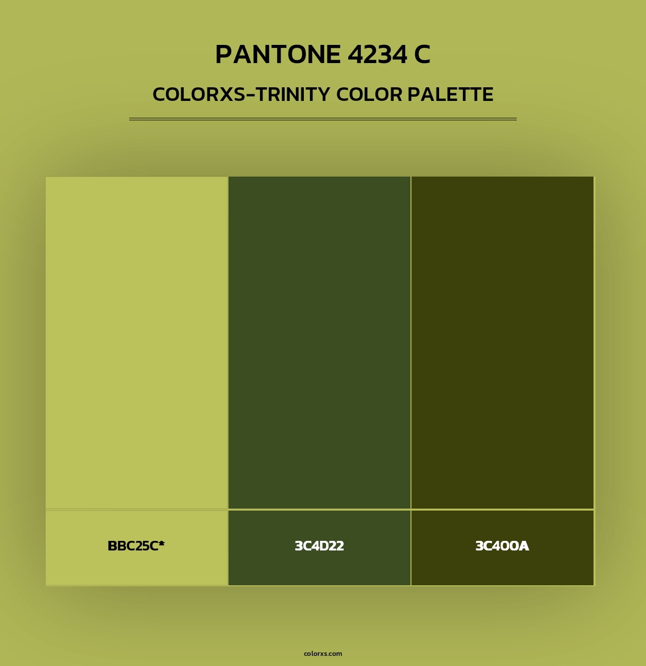 PANTONE 4234 C - Colorxs Trinity Palette