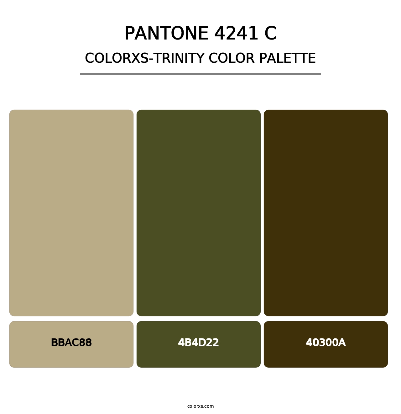 PANTONE 4241 C - Colorxs Trinity Palette