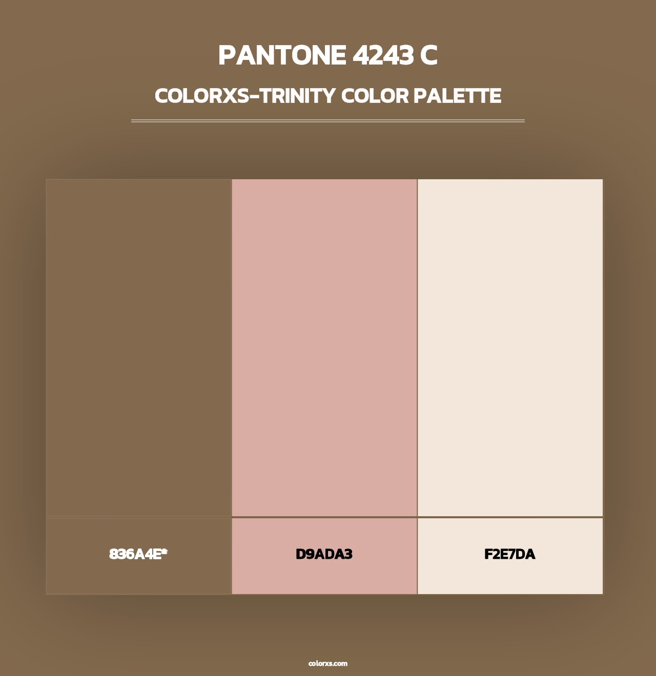 PANTONE 4243 C - Colorxs Trinity Palette