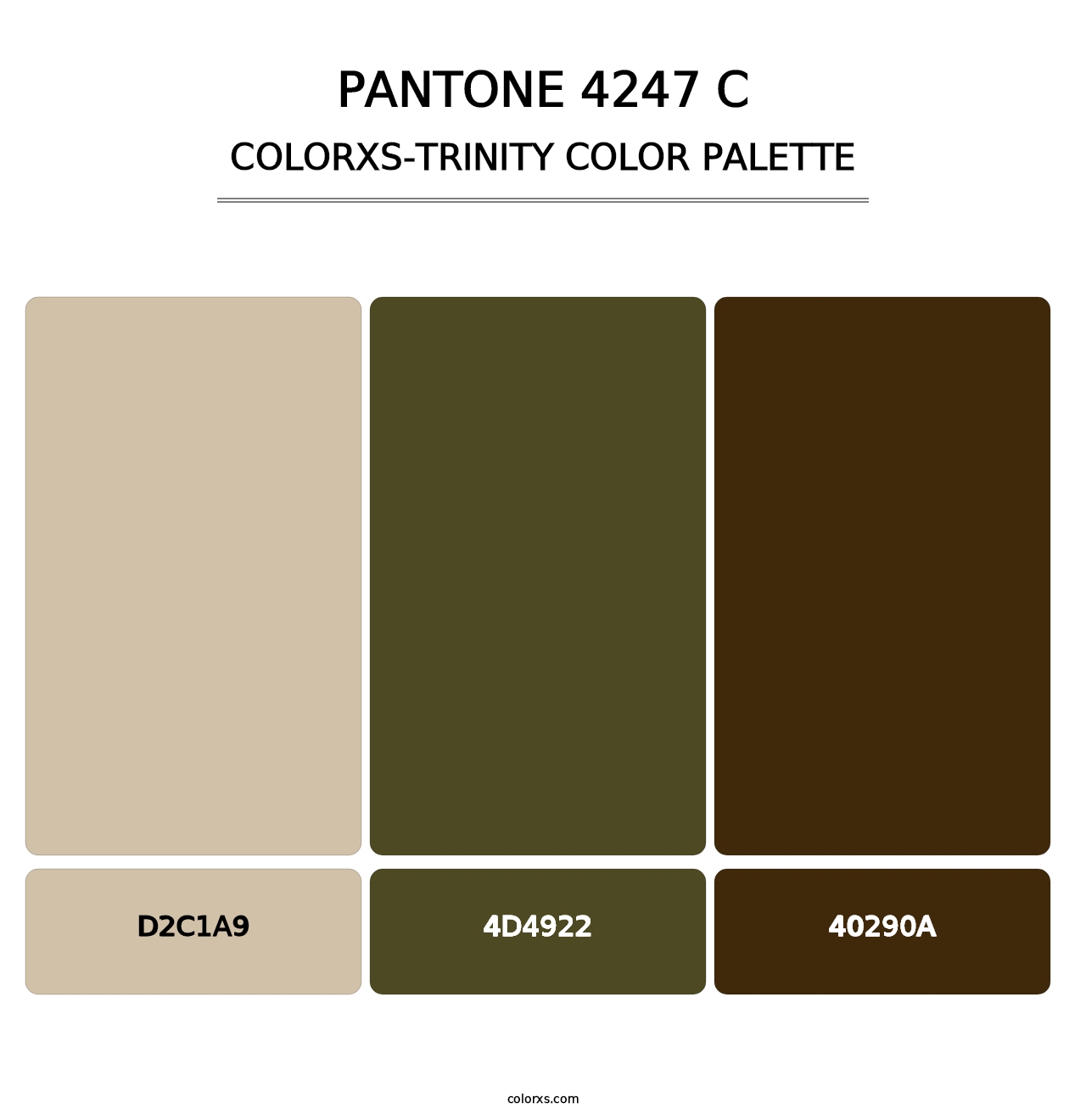 PANTONE 4247 C - Colorxs Trinity Palette