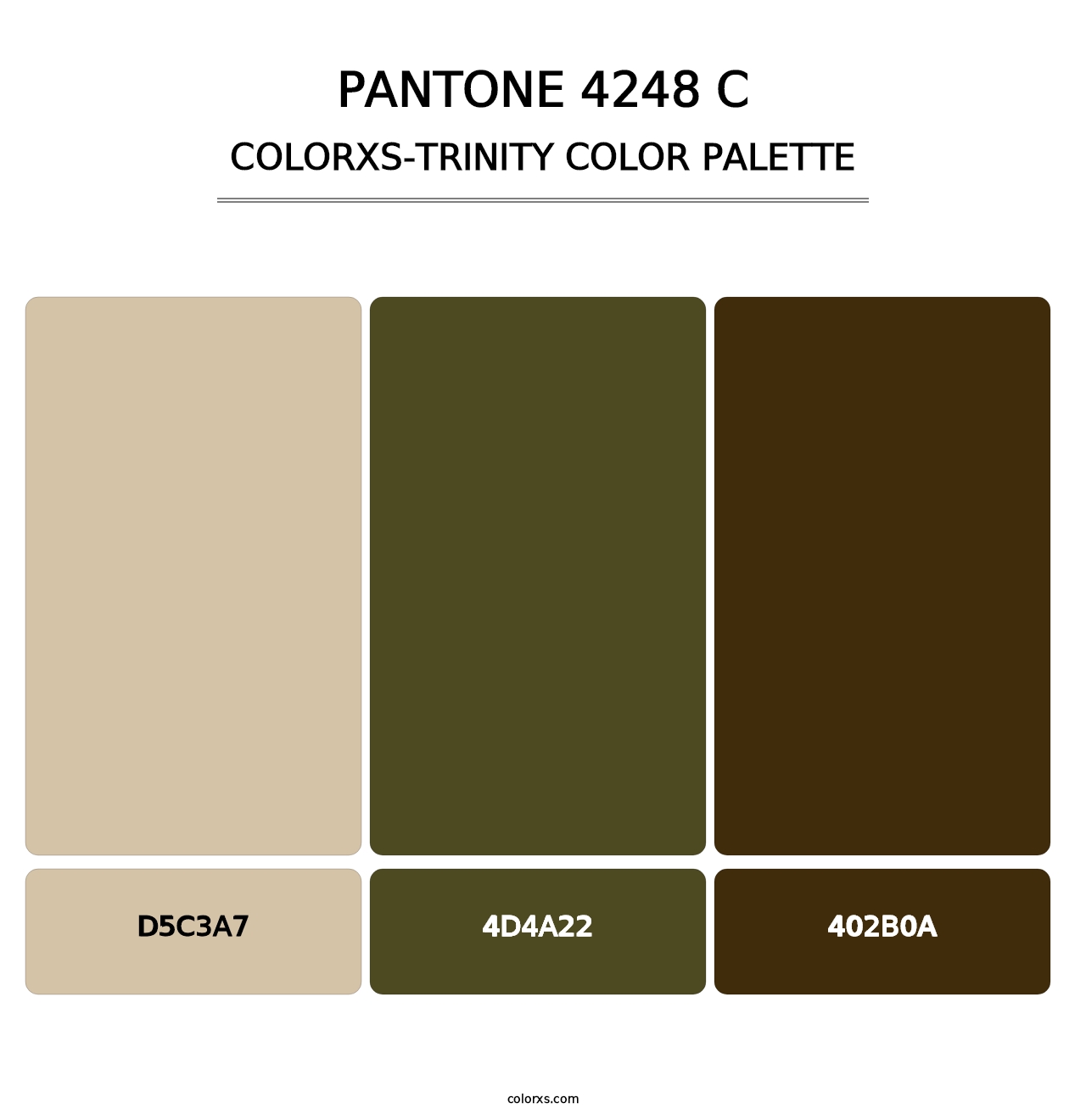 PANTONE 4248 C - Colorxs Trinity Palette