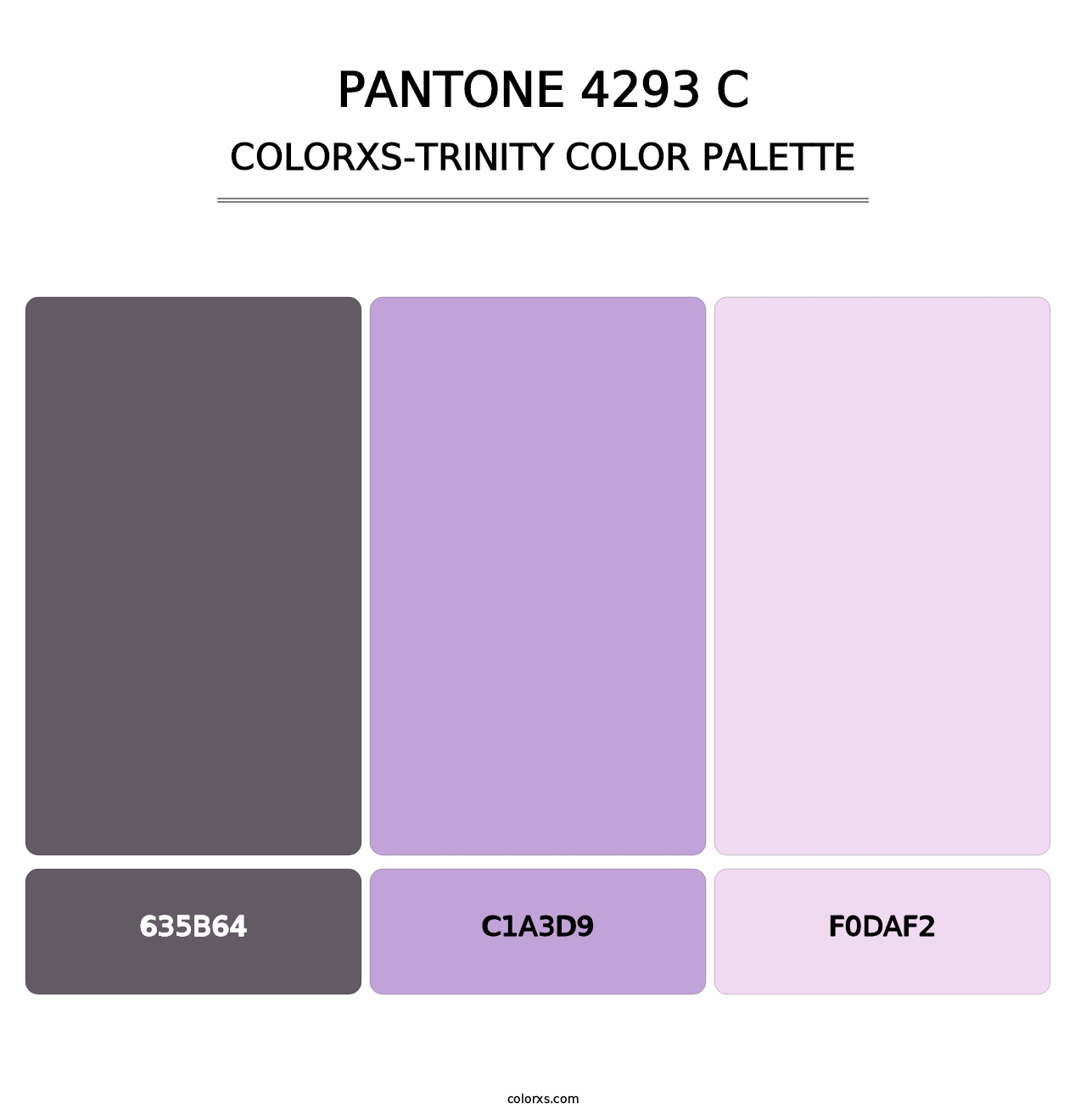 PANTONE 4293 C - Colorxs Trinity Palette