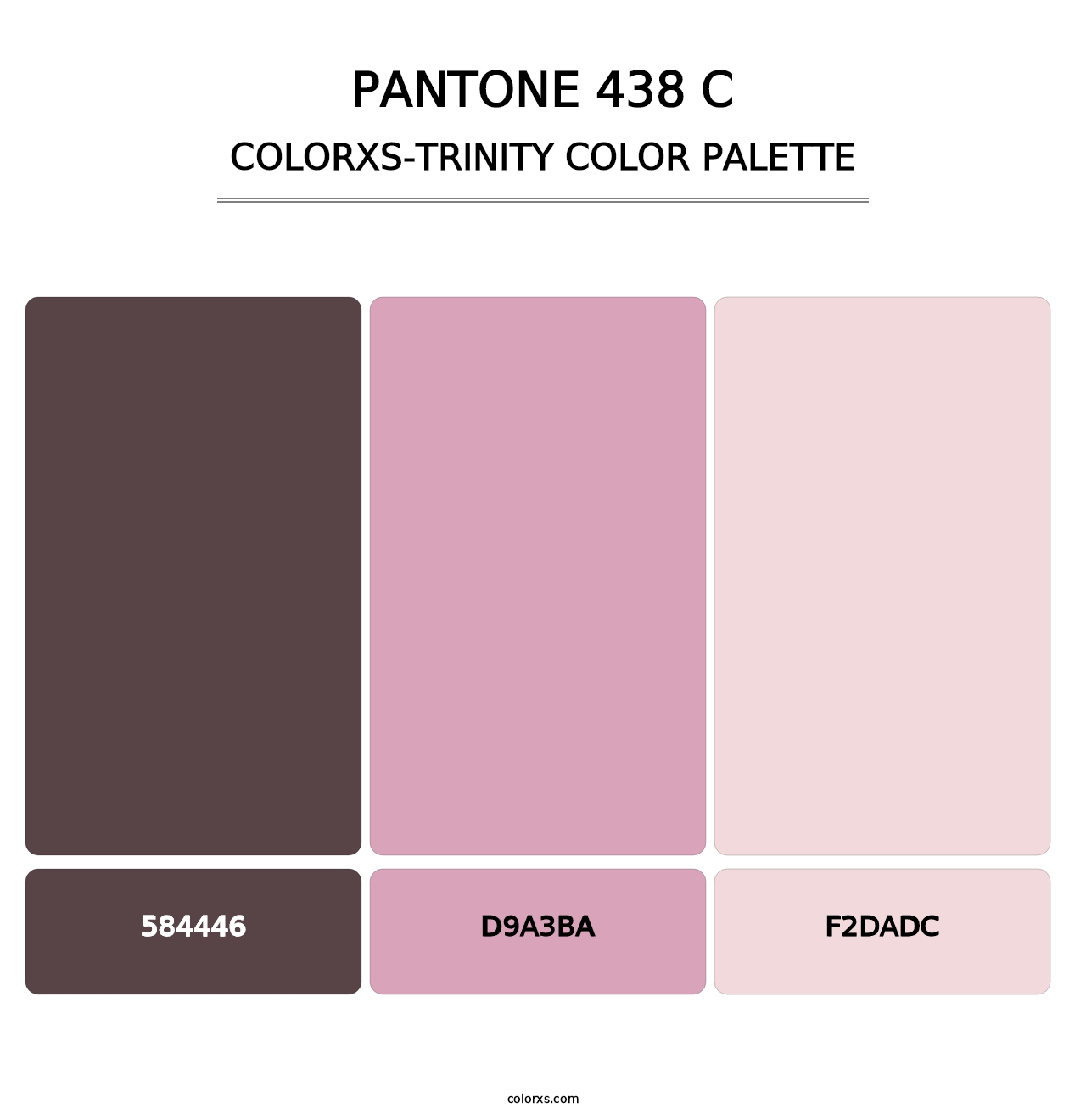 PANTONE 438 C - Colorxs Trinity Palette