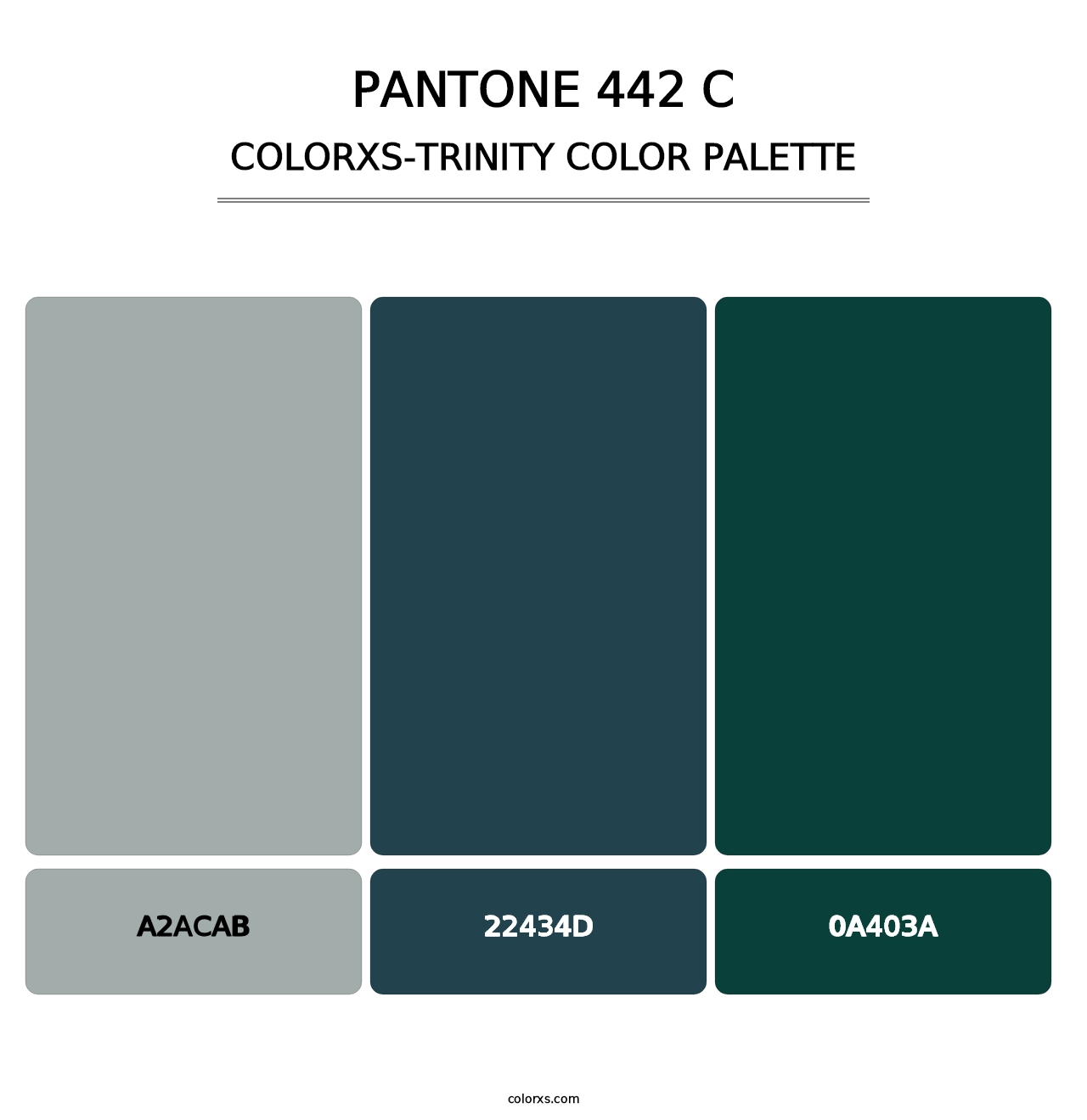 PANTONE 442 C - Colorxs Trinity Palette