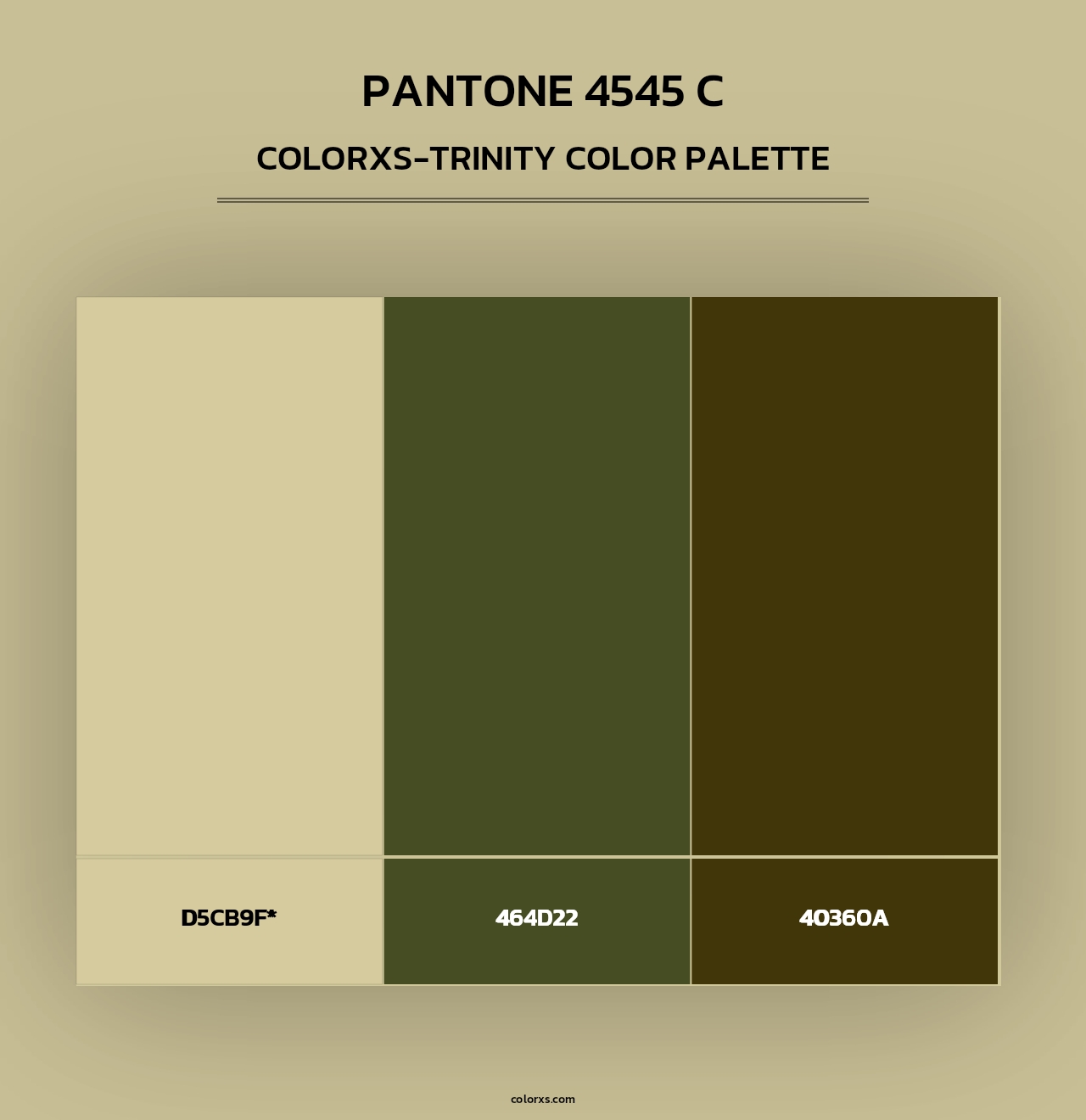 PANTONE 4545 C - Colorxs Trinity Palette