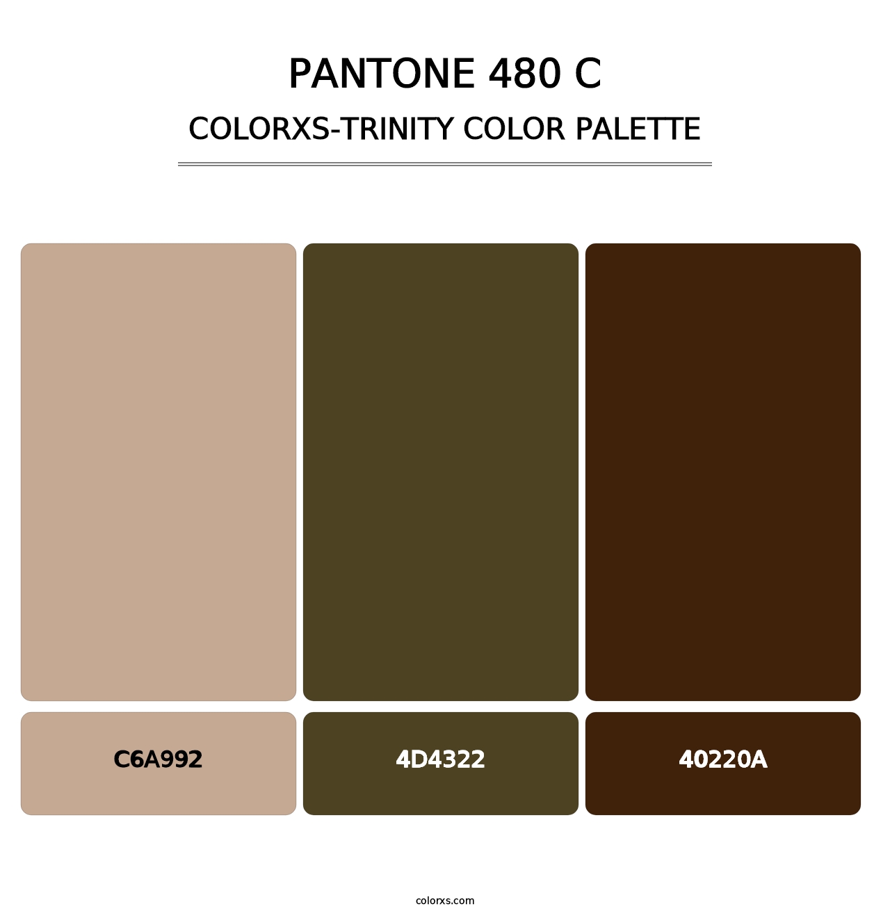 PANTONE 480 C - Colorxs Trinity Palette