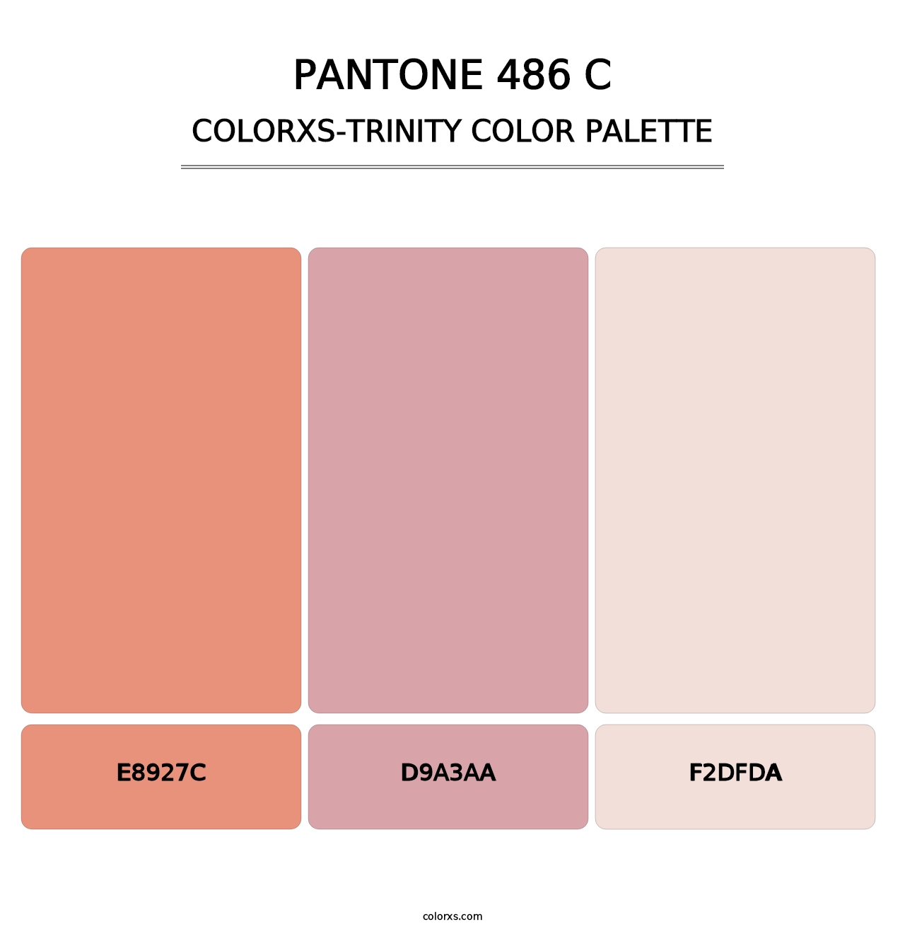 PANTONE 486 C - Colorxs Trinity Palette