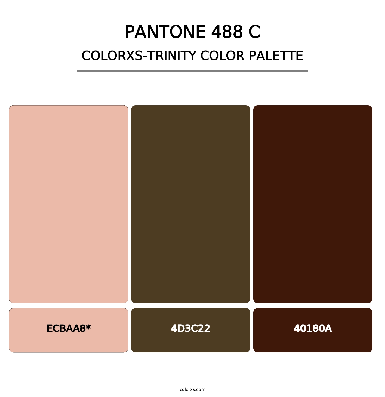 PANTONE 488 C - Colorxs Trinity Palette